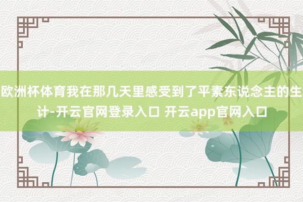 欧洲杯体育我在那几天里感受到了平素东说念主的生计-开云官网登录入口 开云app官网入口