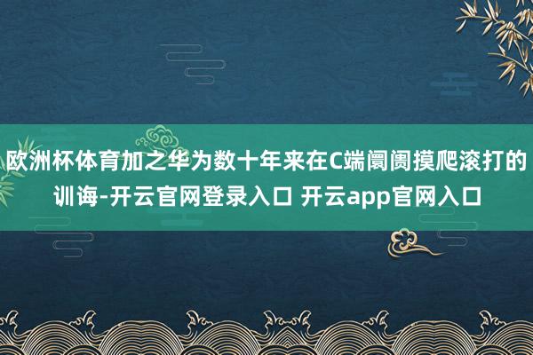 欧洲杯体育加之华为数十年来在C端阛阓摸爬滚打的训诲-开云官网登录入口 开云app官网入口
