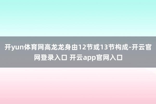 开yun体育网高龙龙身由12节或13节构成-开云官网登录入口 开云app官网入口